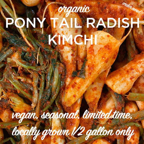 Organic Ponytail Kimchi -Vegan